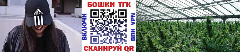 Наркота Красноперекопск Галлюциногенные грибы  Меф мяу мяу  СОЛЬ  Гашиш  Конопля 