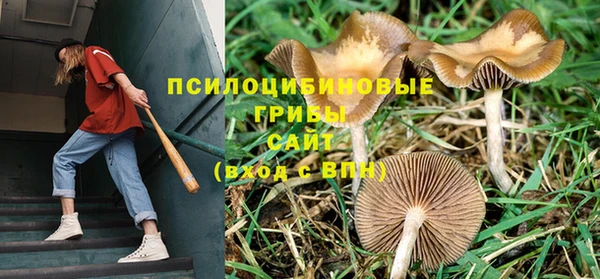 a pvp Баксан