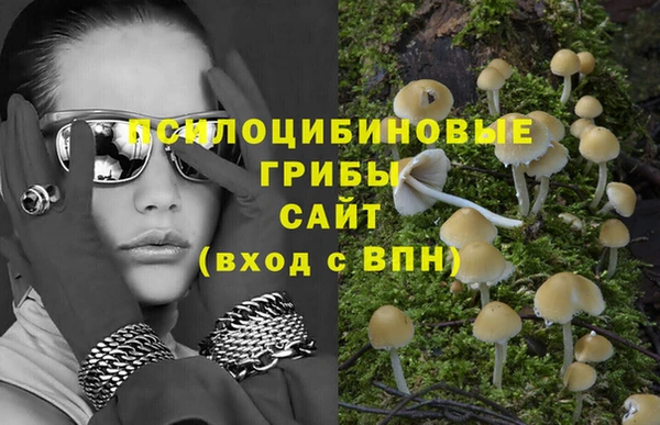 крисы Балахна