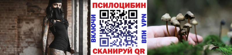 Псилоцибиновые грибы Psilocybe  где найти наркотики  Красноперекопск 